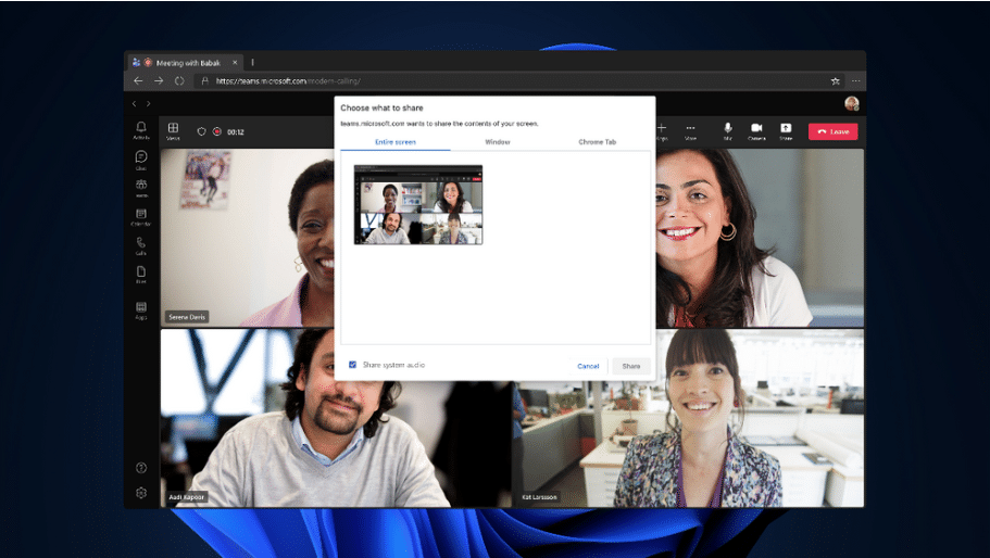 Example screenshot shows how a user can choose what audio to share.