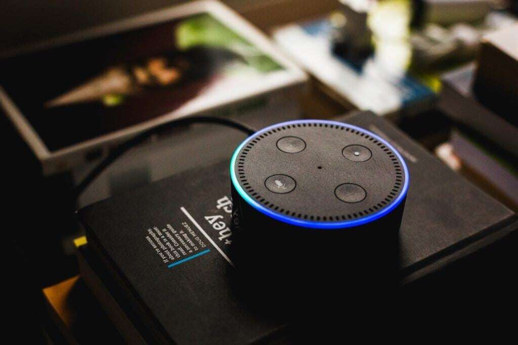 Image shows a common IoT device, a home assistant.