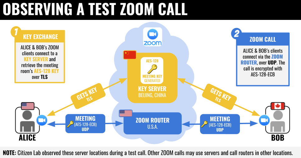 Citizen-lab-zoom-call-graphic