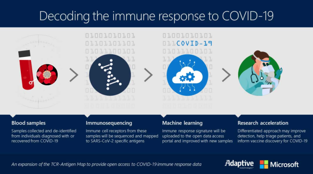 Graphic shows a process of blood sampling, immunosequencing, machine learning, and research acceleration.
